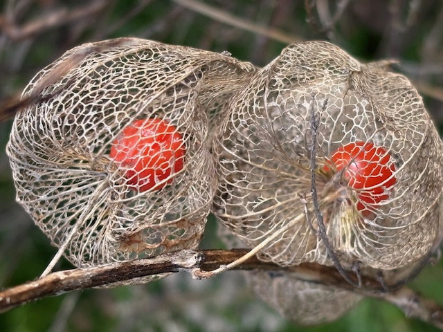 Psychotherapie Praxis in Baden AG – Michel Berner